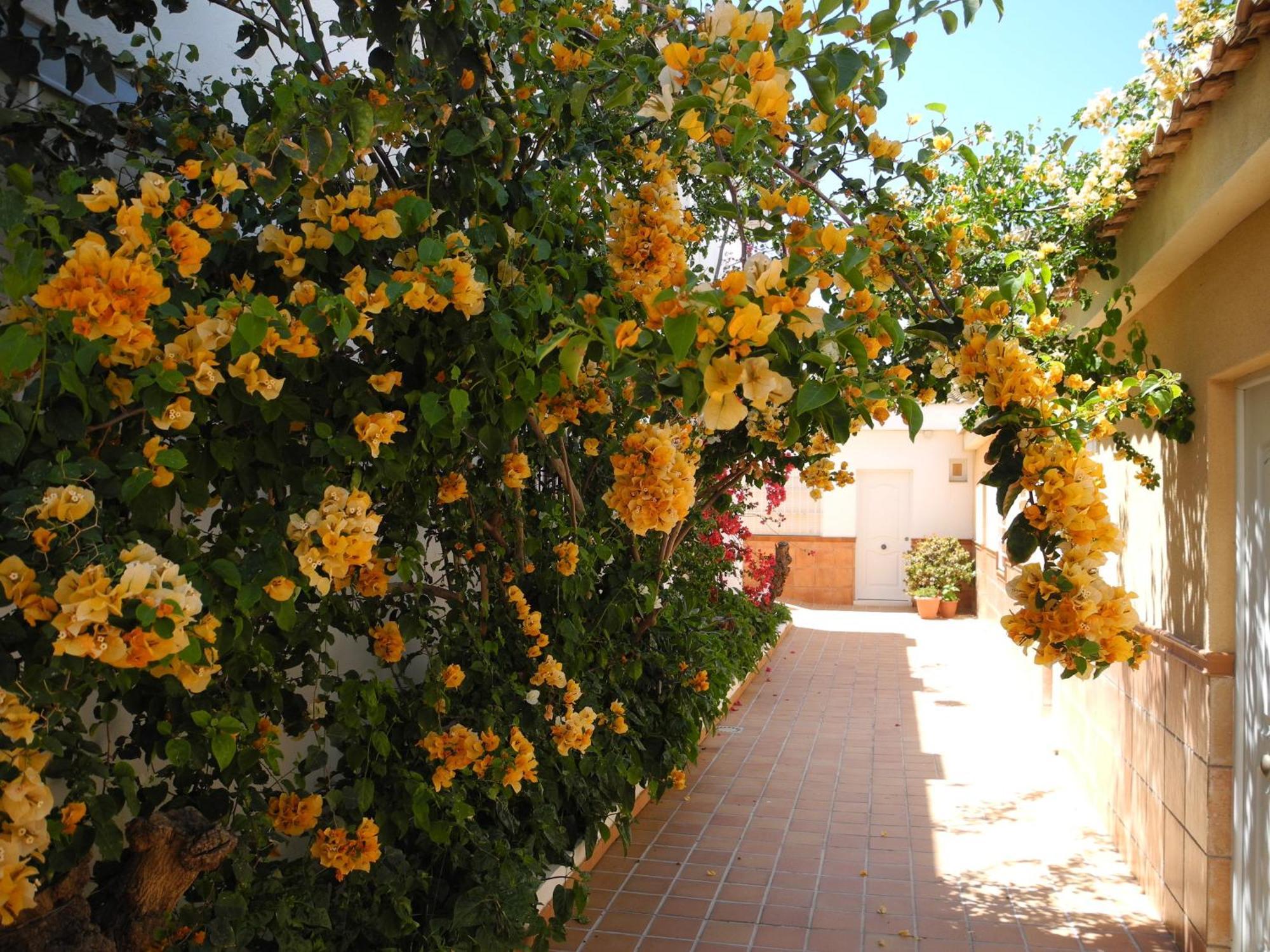 Hostal Playa Punta Umbria Ngoại thất bức ảnh